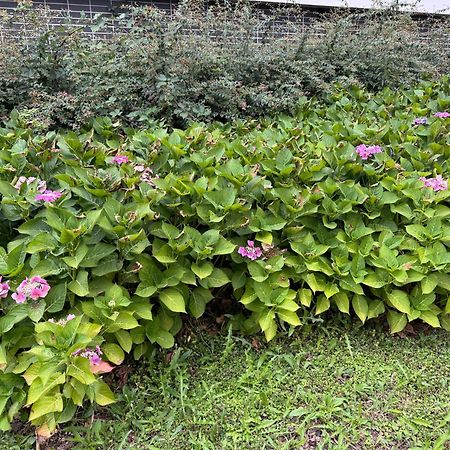 Jardins De La Noue Διαμέρισμα Villeneuve-la-Garenne Εξωτερικό φωτογραφία